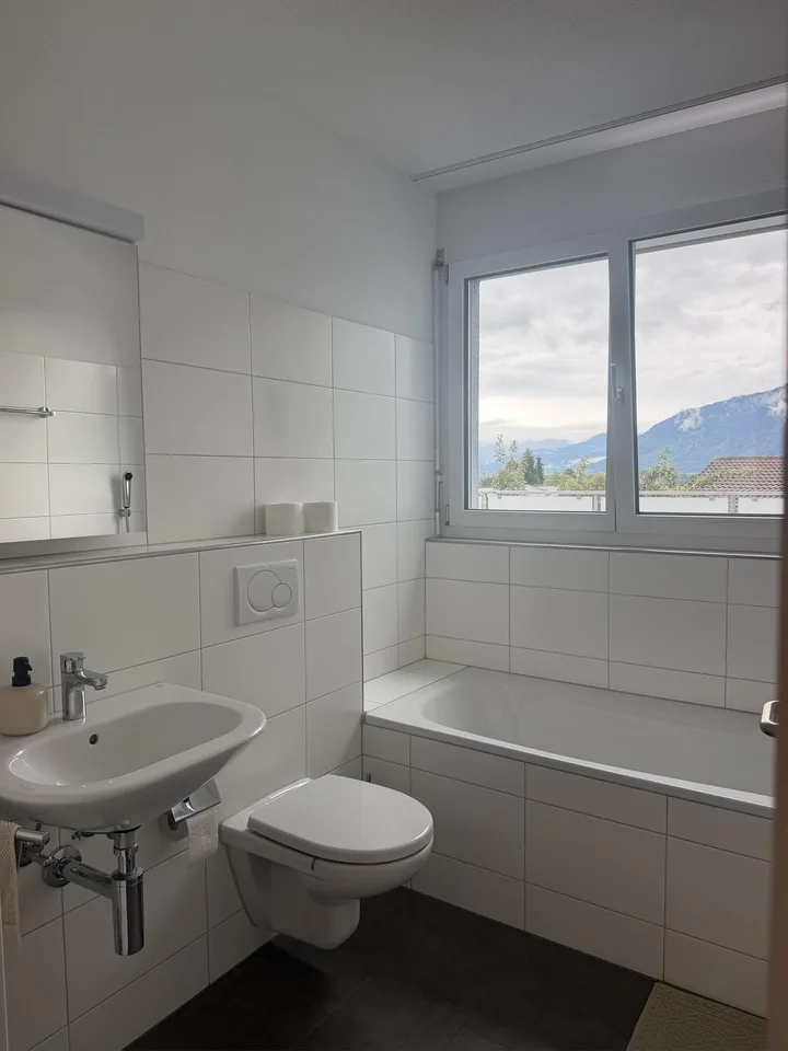 4.5 Zimmer Attikawohnung