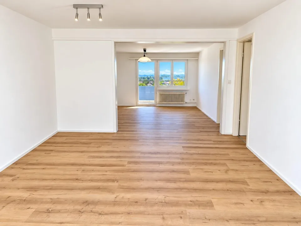 Attikawohnung mit riesiger Terrasse und Aussicht bis zum Bodensee