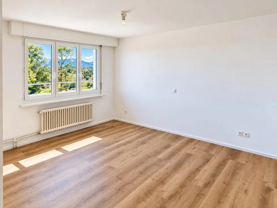 Attikawohnung mit riesiger Terrasse und Aussicht bis zum Bodensee