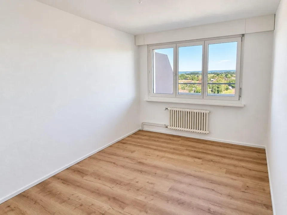 Attikawohnung mit riesiger Terrasse und Aussicht bis zum Bodensee