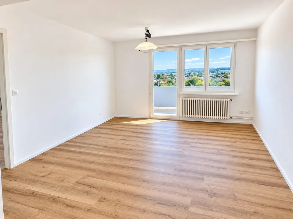 Attikawohnung mit riesiger Terrasse und Aussicht bis zum Bodensee