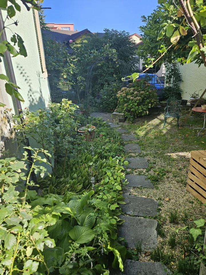 Grosszügige 4 ½-Zi.-Altbauwohnung, hell, zentral, zwei Terrassen