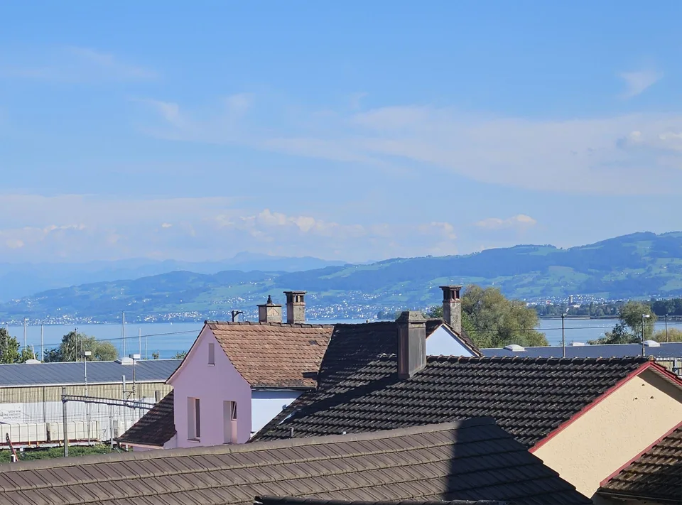 Grosszügige 4 ½-Zi.-Altbauwohnung, hell, zentral, zwei Terrassen