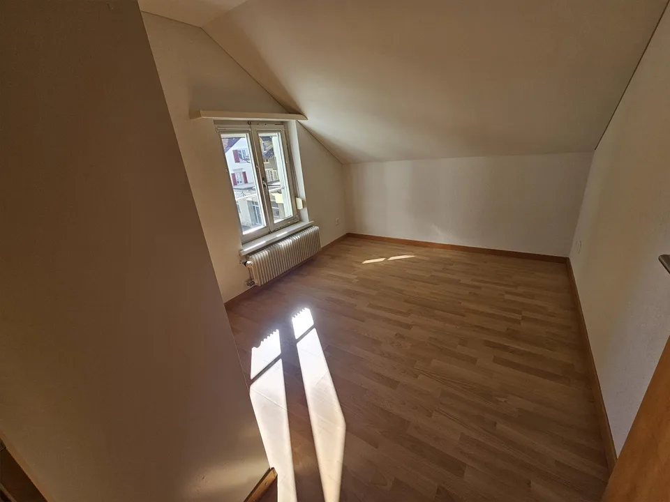 Grosszügige 4 ½-Zi.-Altbauwohnung, hell, zentral, zwei Terrassen