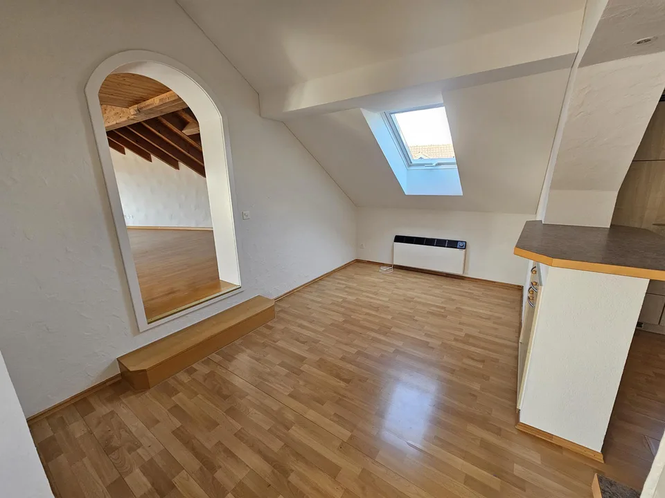 Grosszügige 4 ½-Zi.-Altbauwohnung, hell, zentral, zwei Terrassen