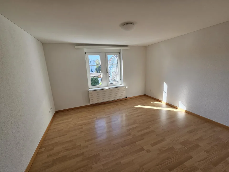 Grosszügige 4 ½-Zi.-Altbauwohnung, hell, zentral, zwei Terrassen