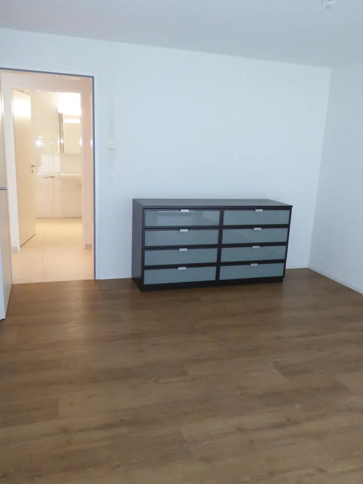 31/2 Zimmerwohnung in Schübelbach