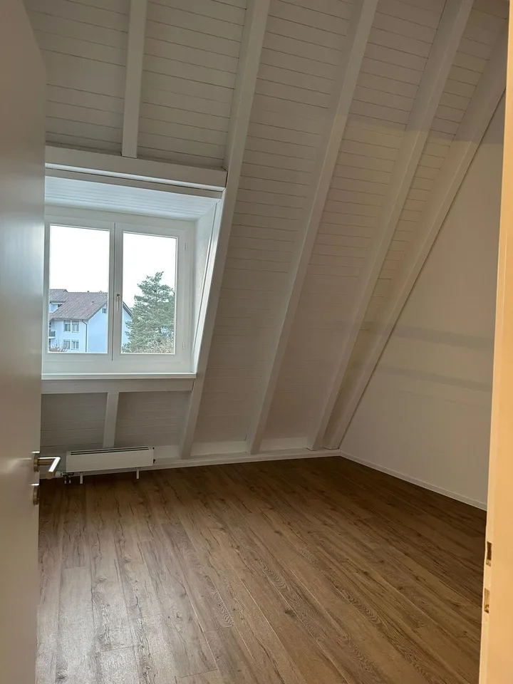 4.5 Zimmer-Duplex / Maisonette-Dachwohnung