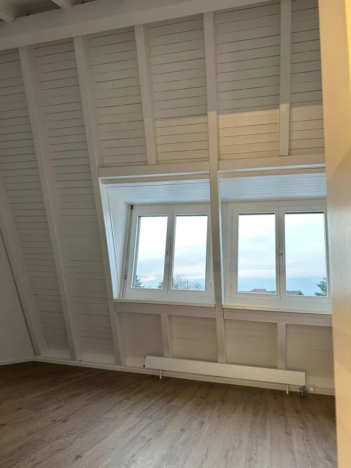 4.5 Zimmer-Duplex / Maisonette-Dachwohnung