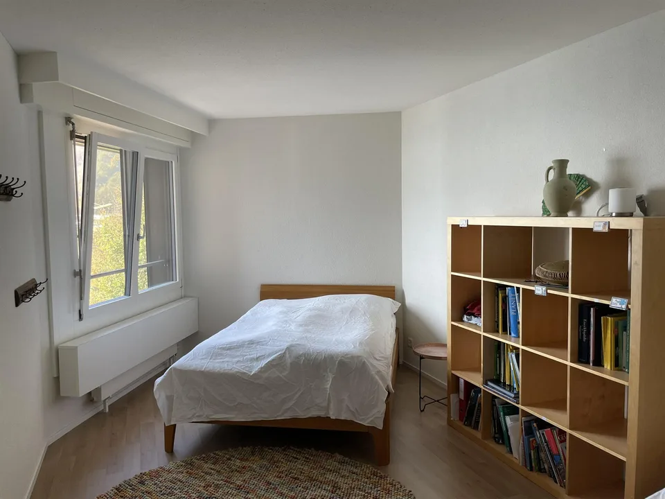 Moderne 3.5 Zimmer-Wohnung mit Seesicht