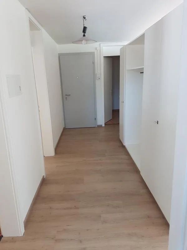Lichtdurchflutete Wohnung in Zentrumsnähe