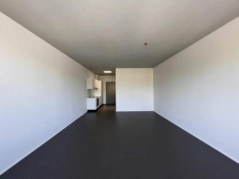 Moderne 1-Zimmer Stadtwohnung sucht neue Mieter