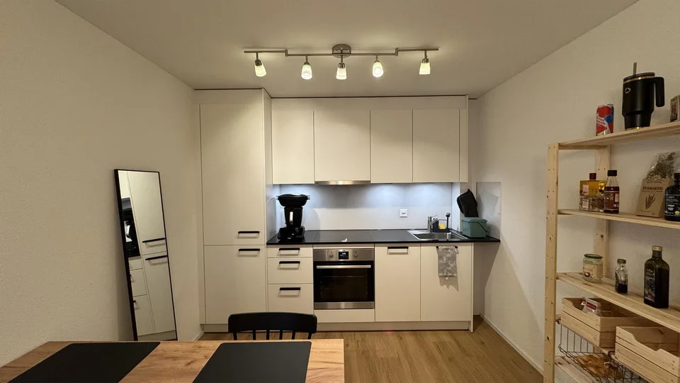 moderne Wohnung in Schlieren
