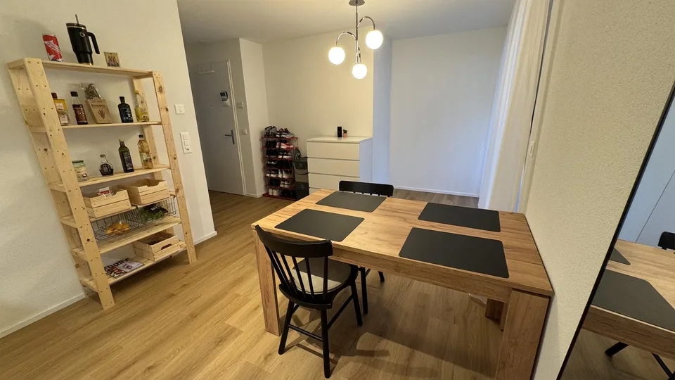moderne Wohnung in Schlieren