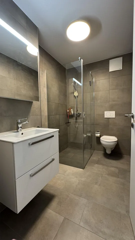 moderne Wohnung in Schlieren