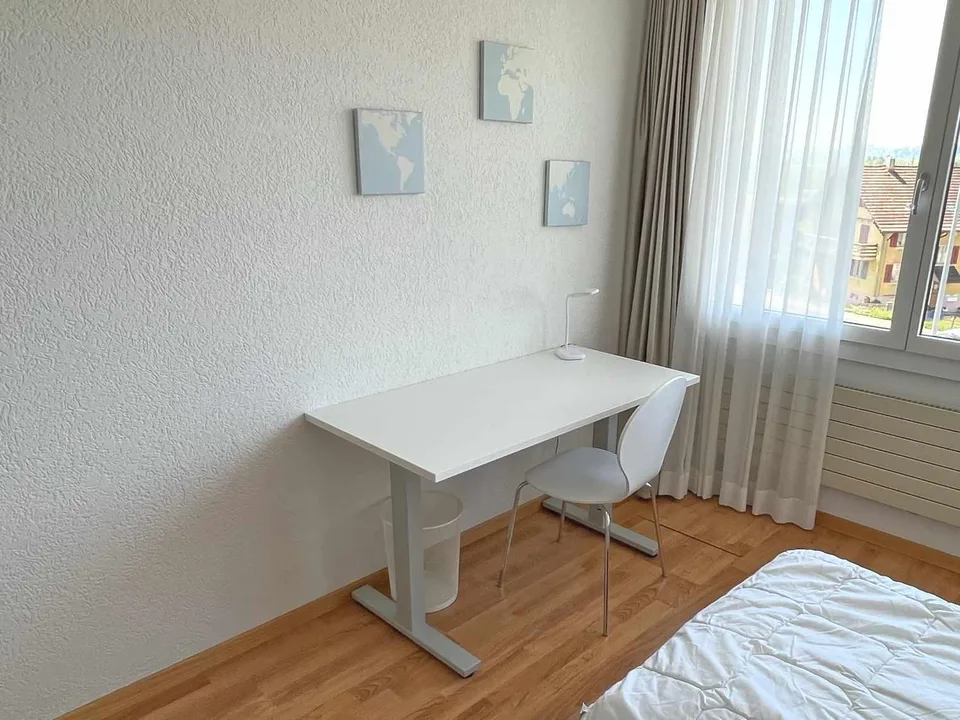 möblierte Wohnung/furnished apartment - 2 Zimmer [EH05]