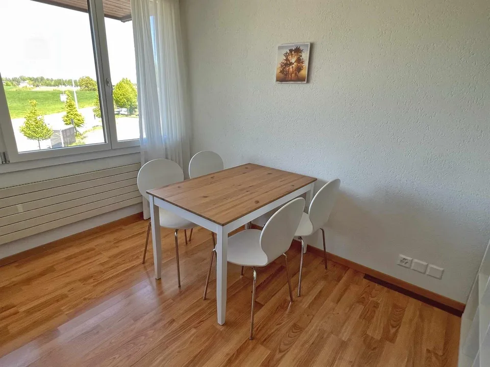 möblierte Wohnung/furnished apartment - 2 Zimmer [EH05]