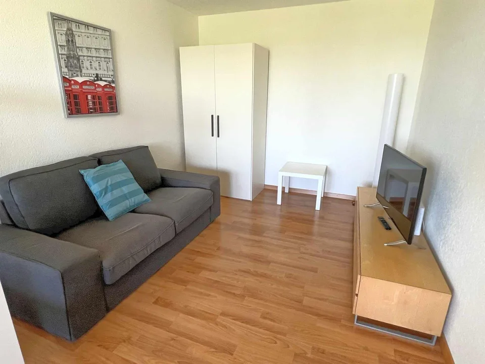 möblierte Wohnung/furnished apartment - 2 Zimmer [EH05]