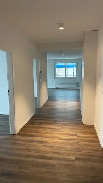 Grosszügige Terrassenwohnung