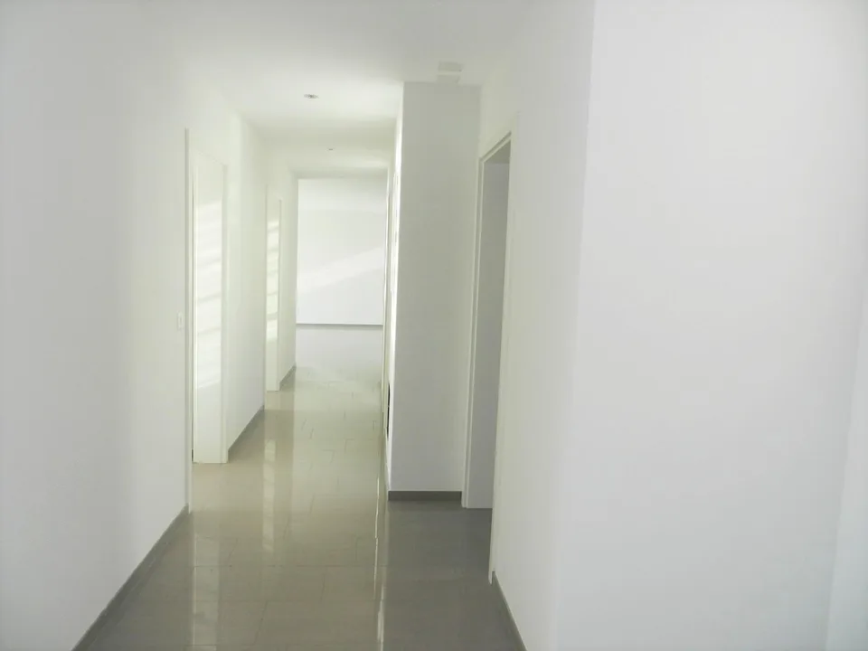 Grosszügige Wohnung mit sonniger Terrasse in Neuhausen