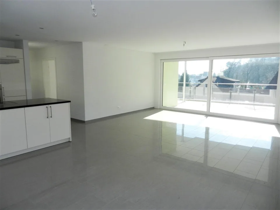 Grosszügige Wohnung mit sonniger Terrasse in Neuhausen