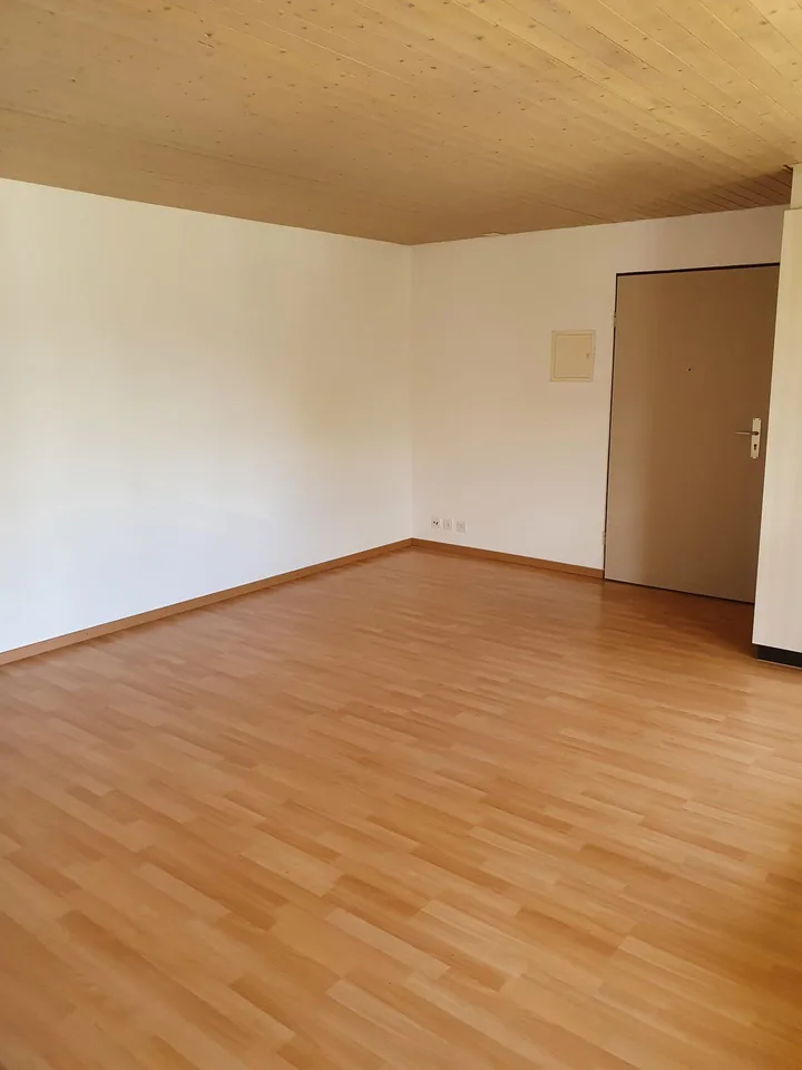 2.5 Zimmer Wohnung