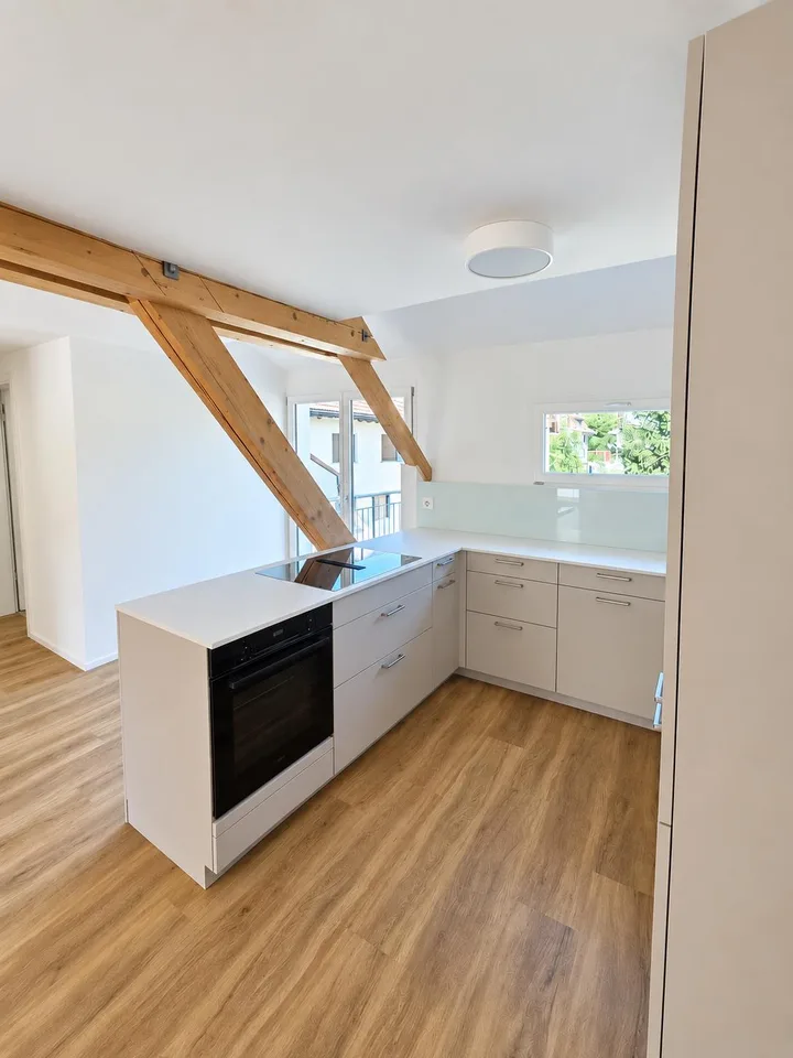 Kernsanierte Dachwohnung mit Galerie, Balkon und direktem Lift