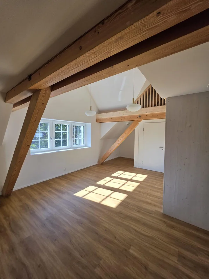 Kernsanierte Dachwohnung mit Galerie, Balkon und direktem Lift