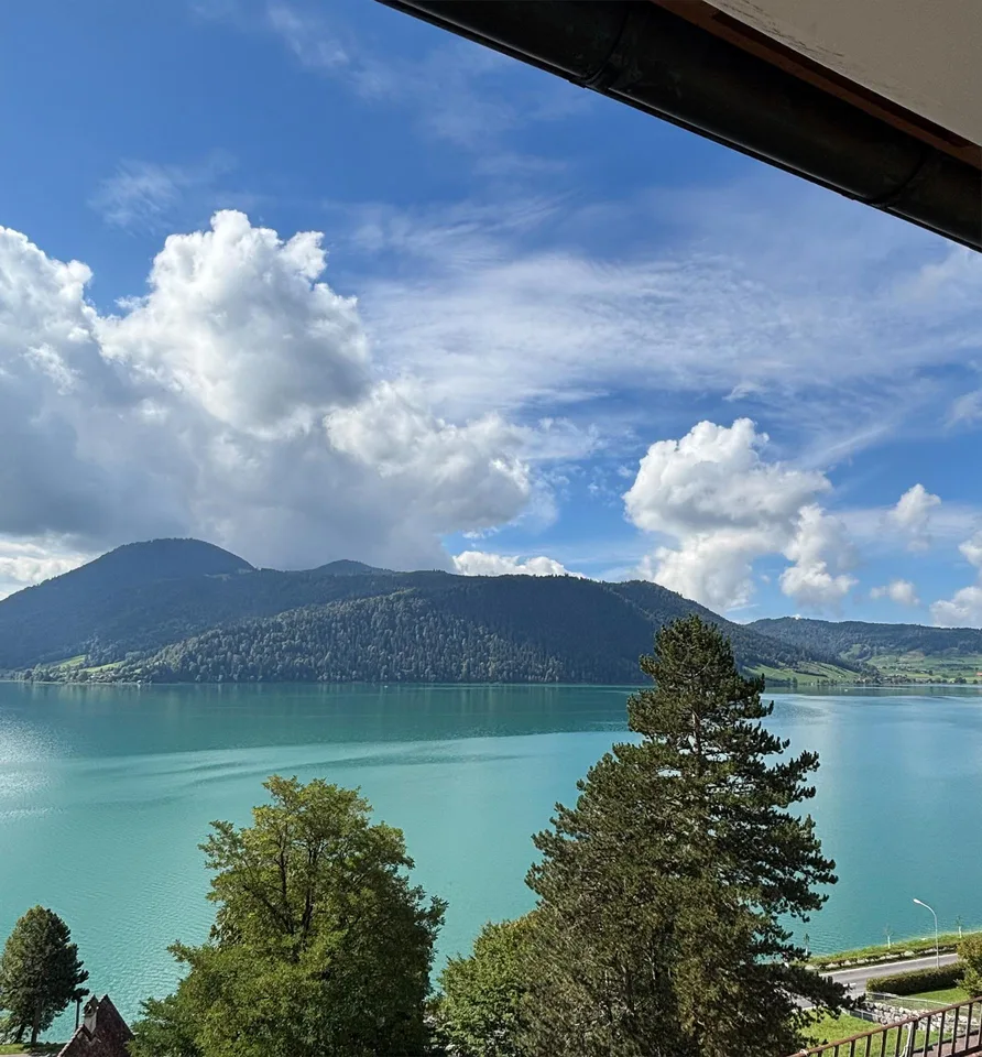 Grosszügige 3-Zimmer-Wohnung am Ägerisee mit Charme und Seesicht