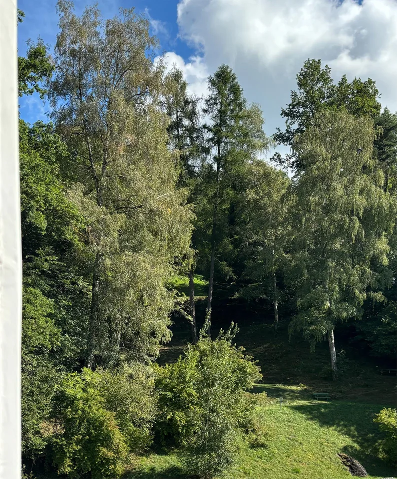 Grosszügige 3-Zimmer-Wohnung am Ägerisee mit Charme und Seesicht