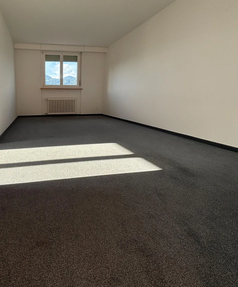 Grosszügige 3-Zimmer-Wohnung am Ägerisee mit Charme und Seesicht