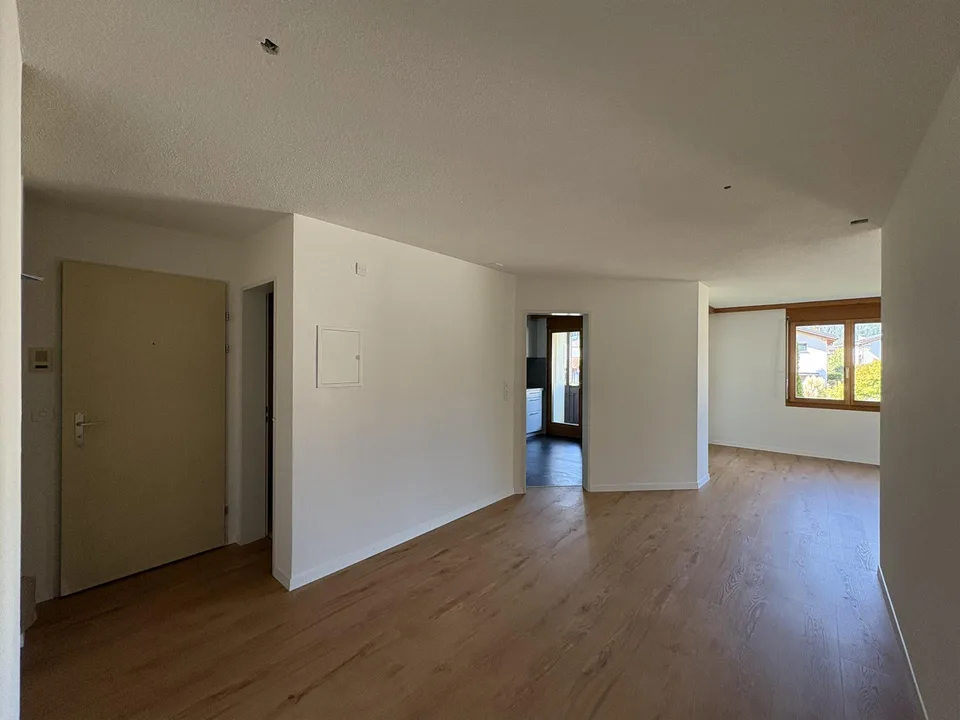 4 1/2 Zi-Wohnung
