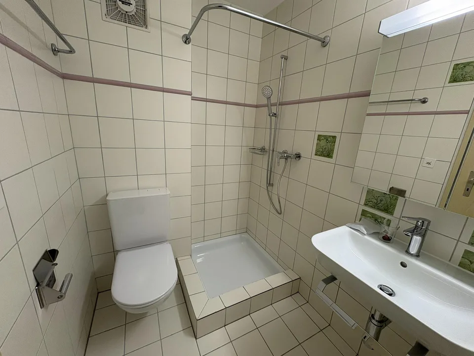 4 1/2 Zi-Wohnung