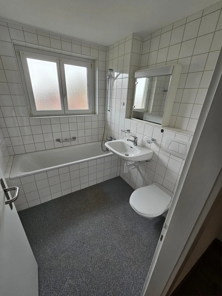 2 1/2 Zimmer Dachwohnung