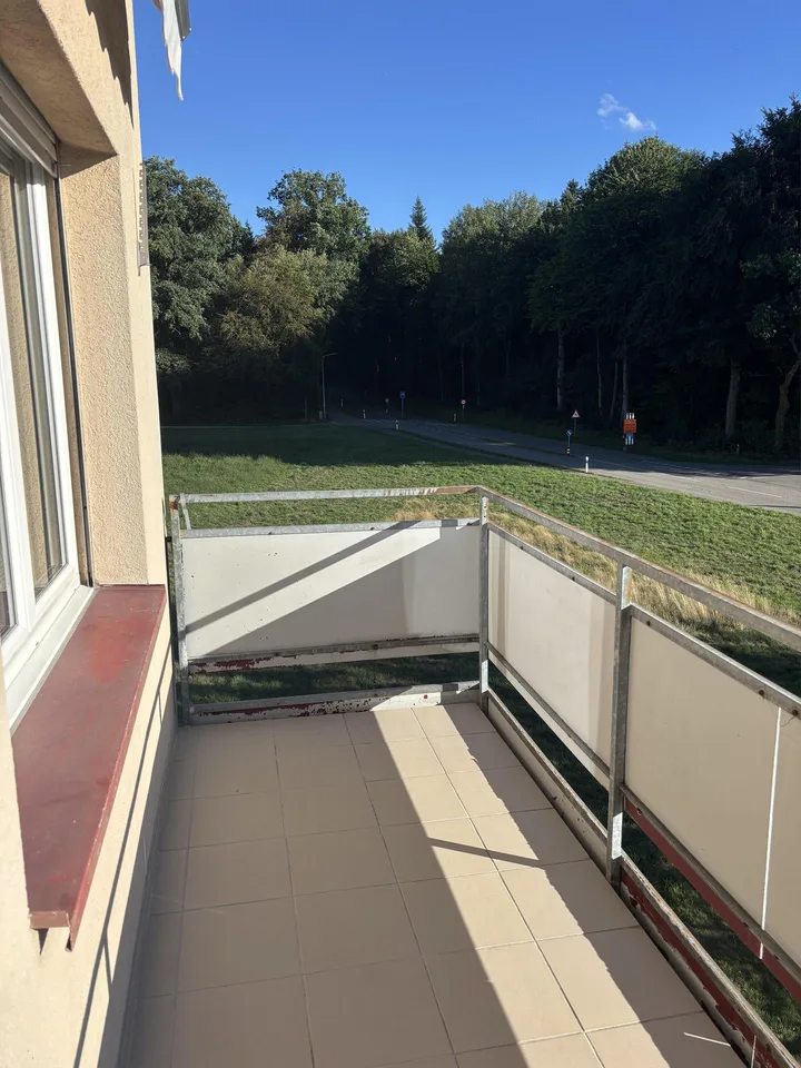 Helle 4.5-Zimmerwohnung mit schönem Blick ins Grüne