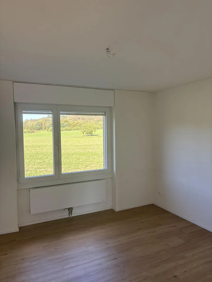 Helle 4.5-Zimmerwohnung mit schönem Blick ins Grüne