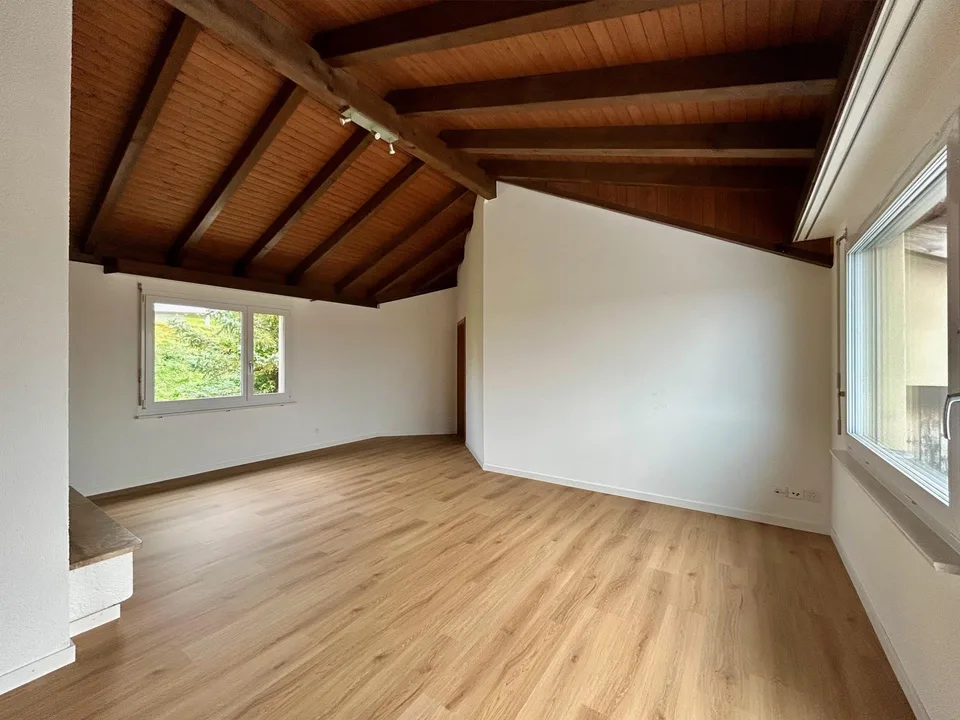 helle Dachwohnung mit sonniger Terrasse