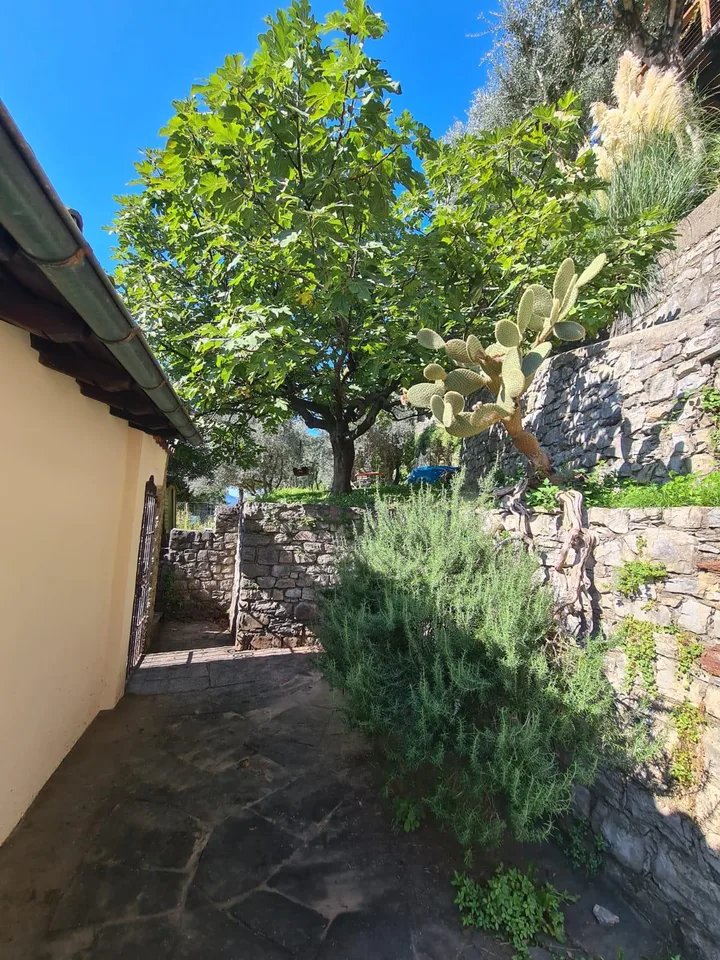 Si affitta a Gandria appartamento con giardino e vista lago