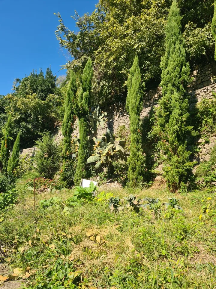 Si affitta a Gandria appartamento con giardino e vista lago