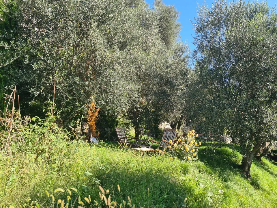Si affitta a Gandria appartamento con giardino e vista lago