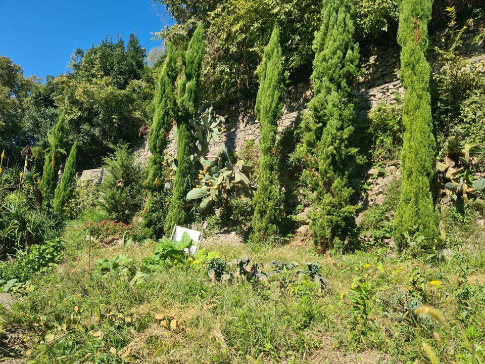 Si affitta a Gandria appartamento con giardino e vista lago