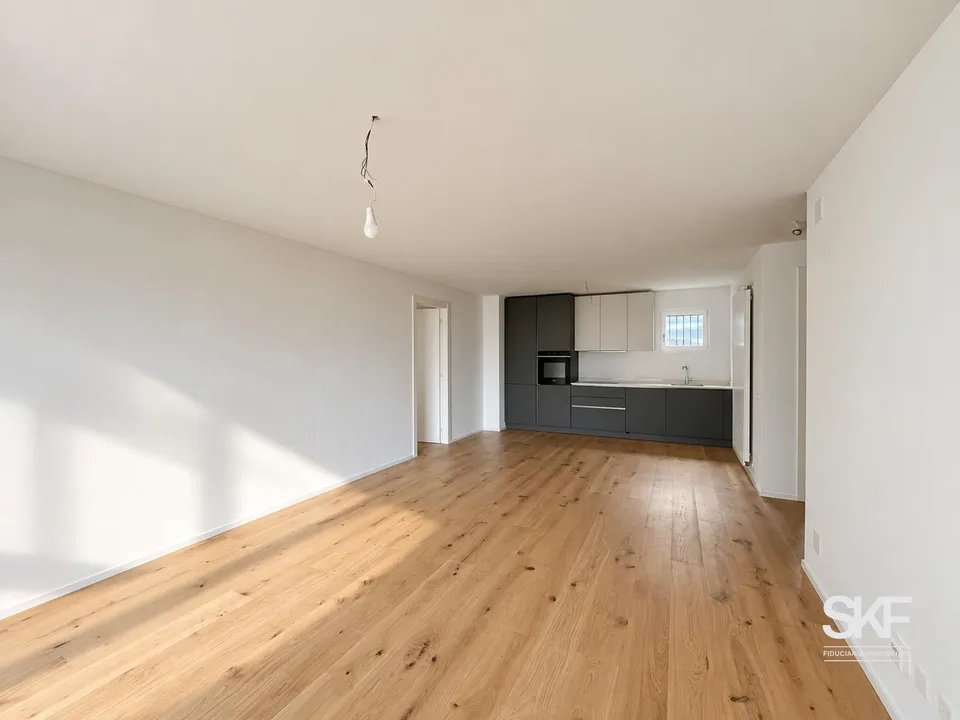 NOVAZZANO - NEW 3.5 ROOM APARTMENT WITH SPACIOUS TERRACE – photo 2 of 12