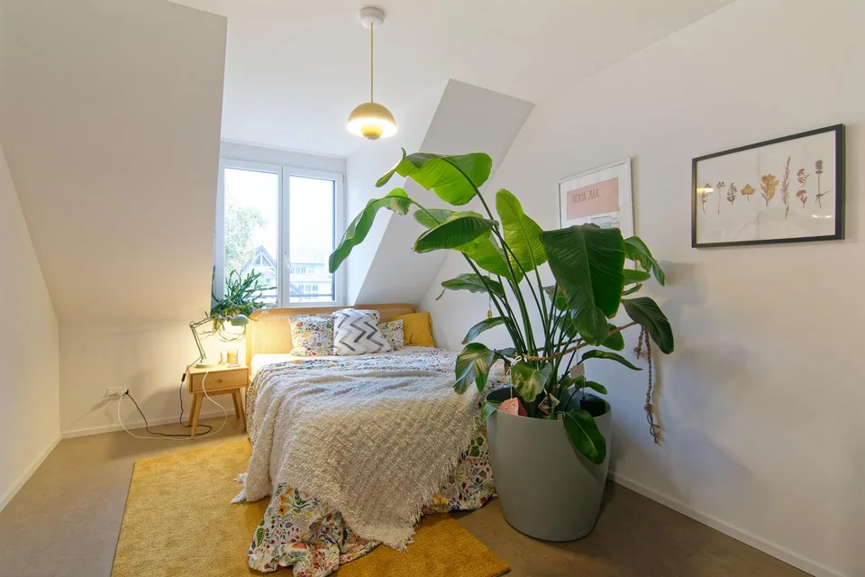 2.5 Zimmerwohnung in St. Gallen