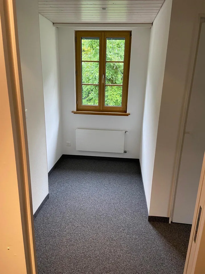Romantische Dachwohnung mit grossem, isoliertem Dachgeschoss