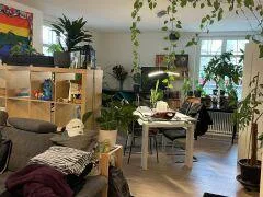 Moderne Wohnung an zentraler Lage