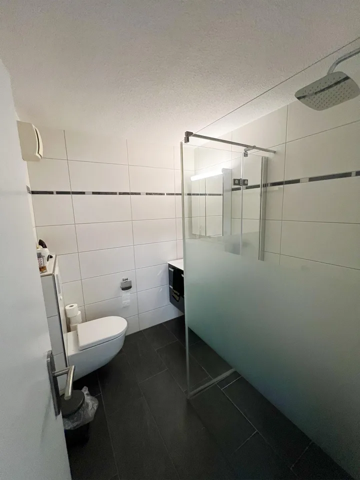Lichtdurchflutete großzügige 4,5 Zimmer Wohnung mit Terasse zu verkauf – Foto 13 von 17