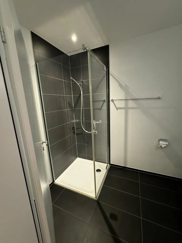 Wunderschöne helle 4.5 Zimmerwohnung zu verkaufen – photo 12 of 13