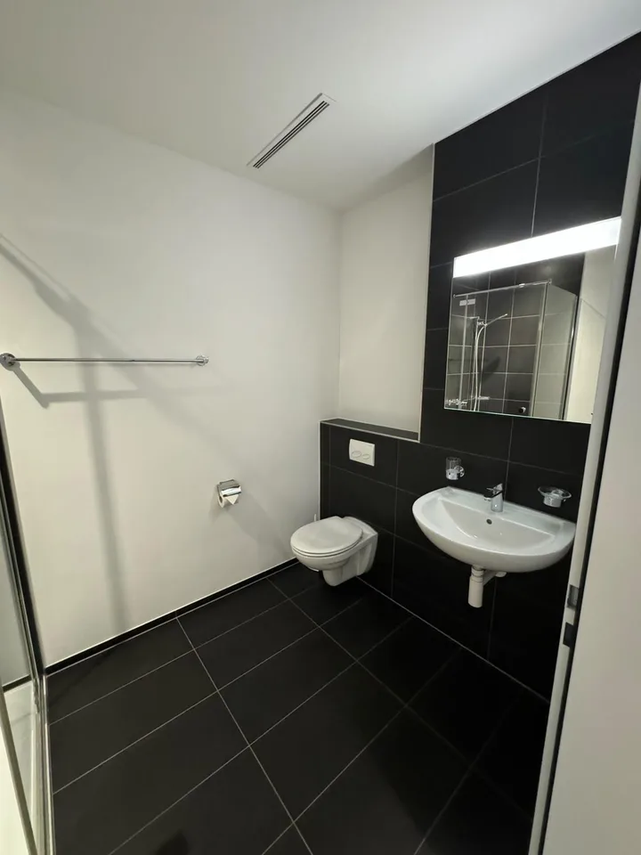 Wunderschöne helle 4.5 Zimmerwohnung zu verkaufen – photo 11 of 13