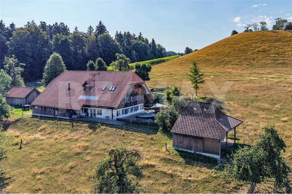 Maison de ferme massivement construite en 2001 avec 3 appartements et grenier préservé. – photo 2 sur 10