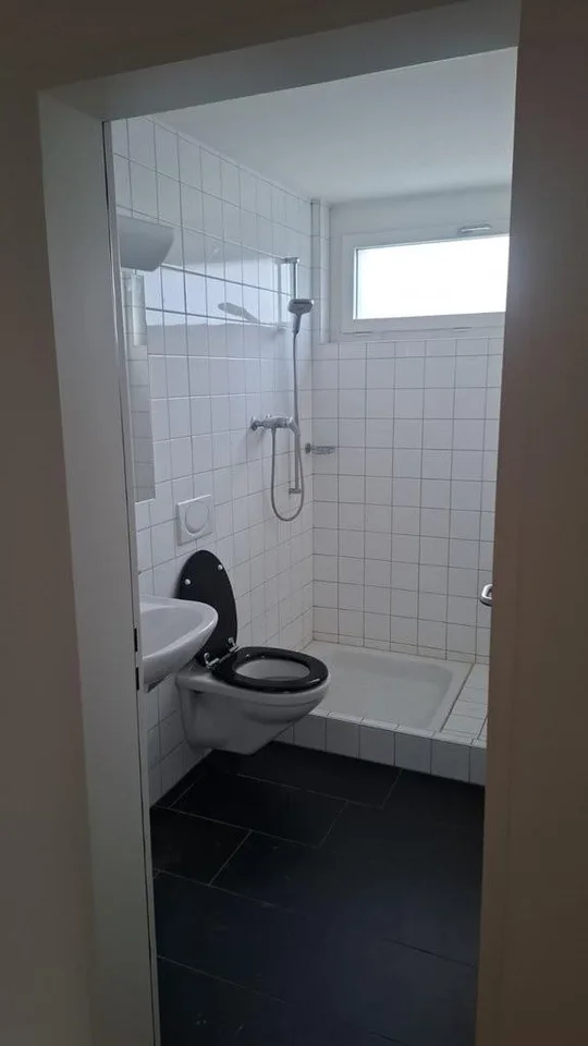 Modern 4.5 room apartment in Bassersdorf